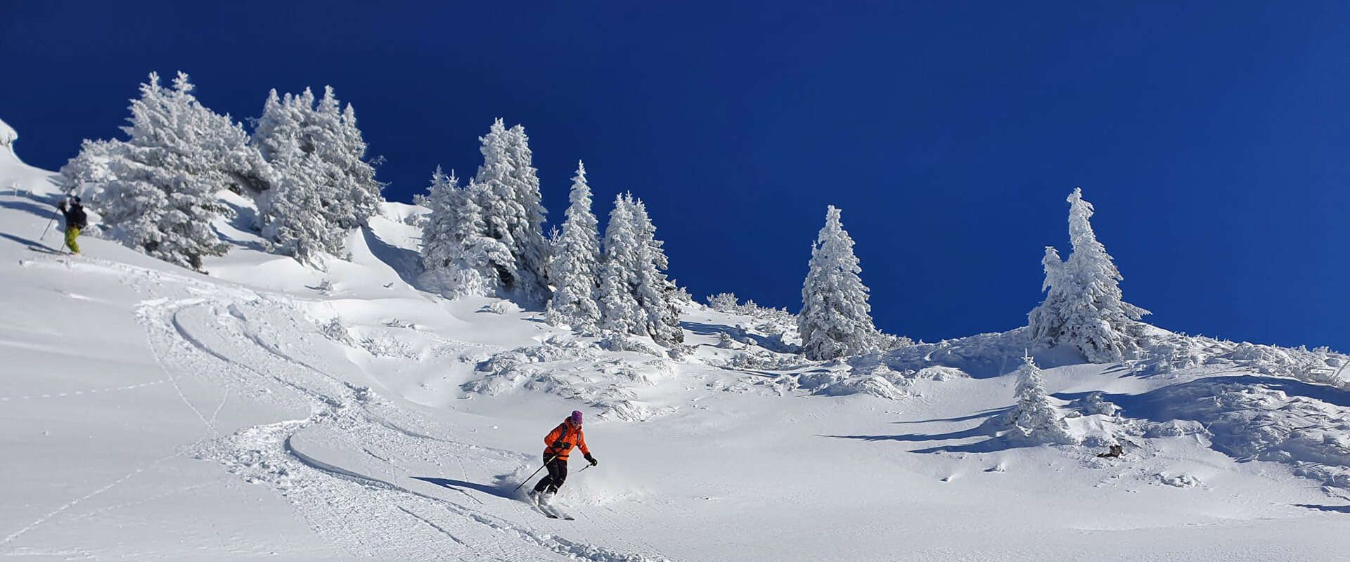 Ski touring with the Pettneu am Arlberg ski school